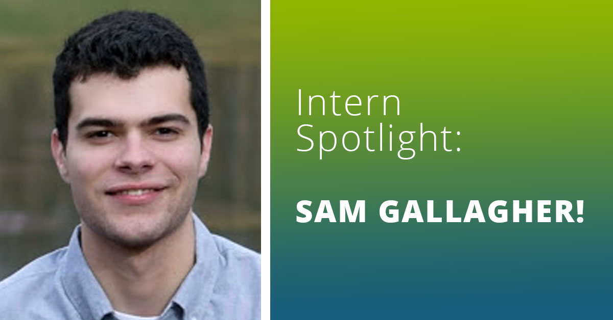 Summer Success with Sam! Internships at DDI